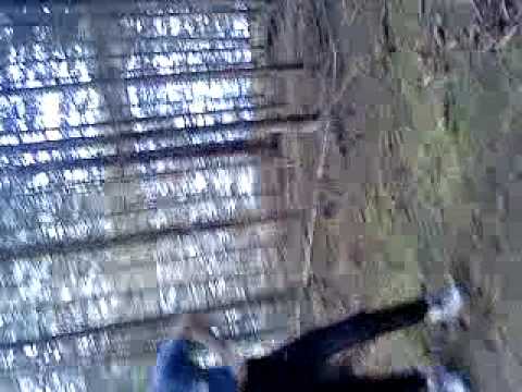 alex og vegard, h0mo