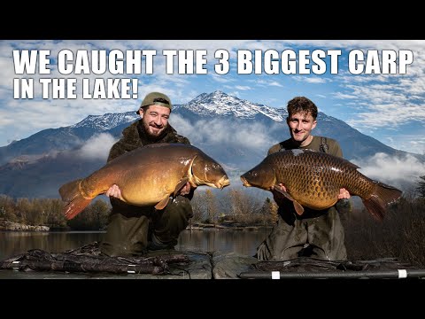 MASSIVE CARP FROM CRYSTAL CLEAR MOUNTAIN LAKE - Escaping London 6: Finale
