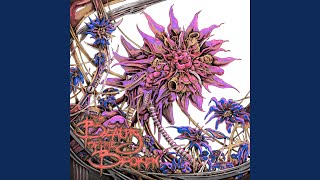 The Beauty of the Broken