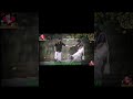 Romantic Video Song Shorts