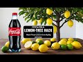 Can Coca Cola Grow Lemons Find Out In This Hilarious Garden Hack