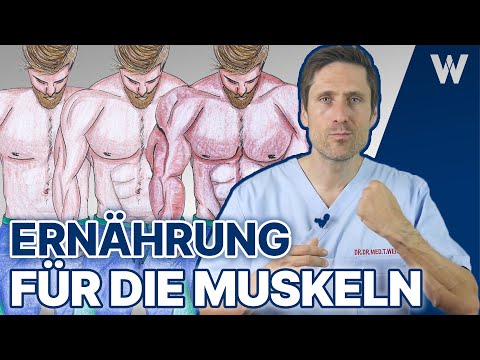 5x Nutrition for Fast Muscle Growth & Transformation: This food goes straight to the muscles!