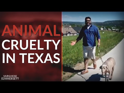 What constitutes animal cruelty in Texas?