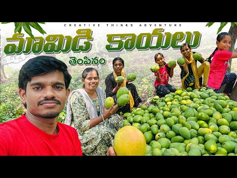 Village Mango work Fun | HD | Shree Videos