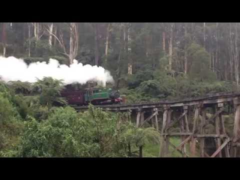 Puffing Billy Melbourne