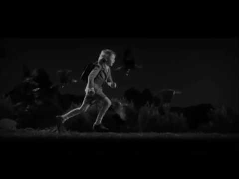 Run Boy Run- Woodkid (Musicless Music Video)