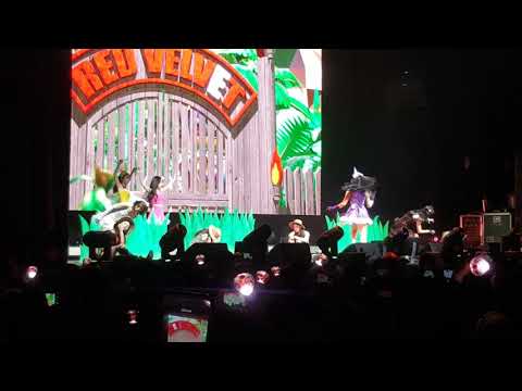 190219 Red Velvet REDMARE in Toronto - Mr. E