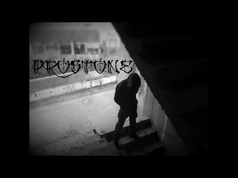 КАМЪКА ВСЕКИ ДЕН