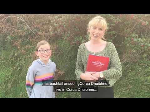 Muireann Nic Amhlaoibh | The Concise English-Irish Dictionary