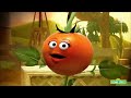 Elmo The Musical The Biggest Tomato With Lyrics