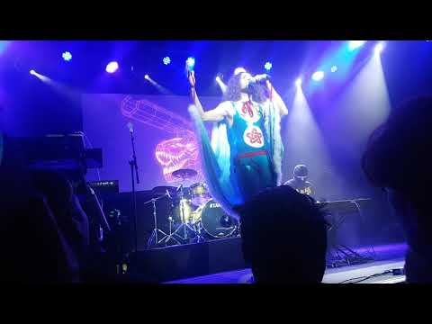 NSP Dinosaur Laser Fight Auckland