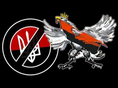 ZimnyDranio - Je... upa i banderę (piosenka z TikToka)