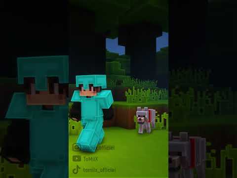 When you log into an old world on Minecraft...