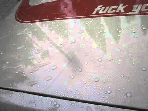 Sonax Protect & Shine