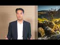 LG QNED evo AI QNED85A 4K Smart TV