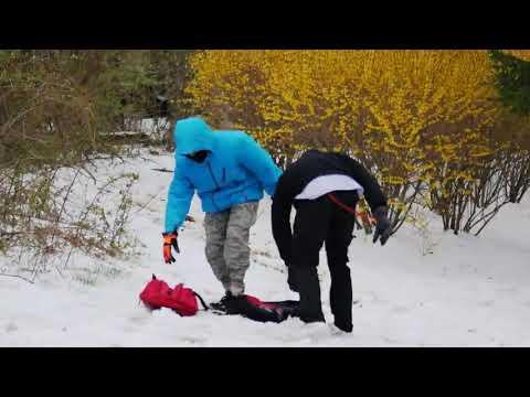 ToneBuTTa - Blizzard (Official 4K Short Film Music Video)