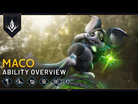 Maco | Hero Overview | Predecessor
