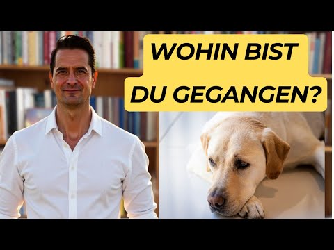 What REALLY happens to the soul when an ANIMAL dies?