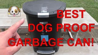 The Best Dog Proof Garbage Can | A Short Review of the Simplehuman Locking Lid Trash Can