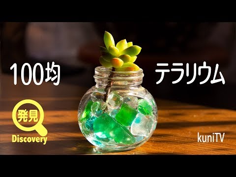 ビーチグラス 植物