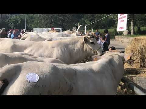 Villanova Mondovì: MUU alla sua 32^ edizione