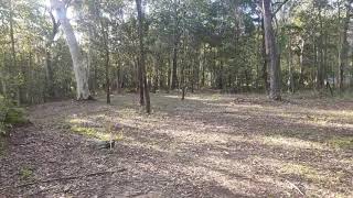 43 Forest Hill Road, RUSSELL ISLAND, QLD 4184