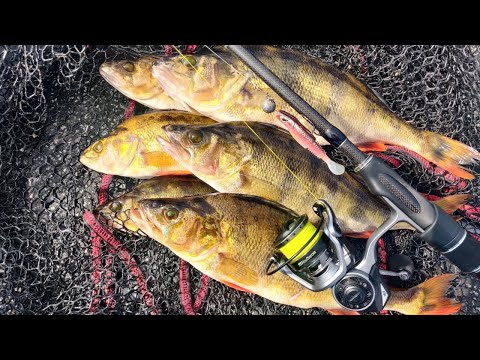 AAMUYÖN AHVENREISSU