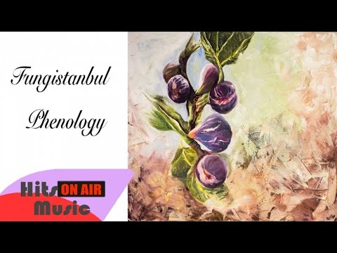 Fungistanbul - Dar HejIroke (Official Audio)