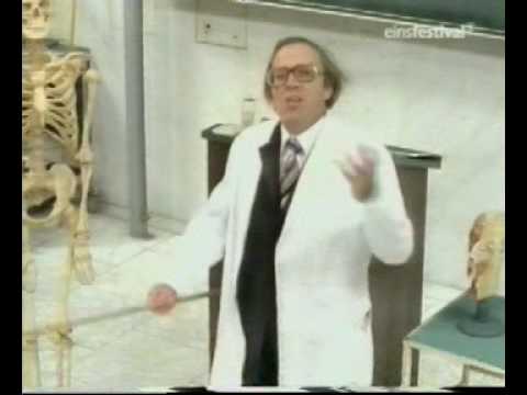 Der Ganz Normale Wahnsinn (Schwachsinn?): Spastic German Scientist