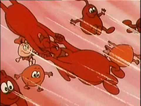 7. Es war einmal das Leben ... Dein ist mein ganzes … - Das Herz