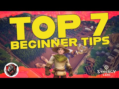Top 7 Beginner Tips for Synergy Land