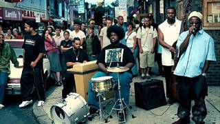 The Roots Essaywhuman 99