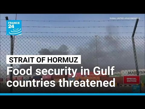 Middle East conflict threatens food security in Gulf countries • FRANCE 24 English
