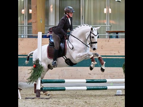 Working Equitation Masterclass Maneability, Martina Weteschnik and Bogalho 2022