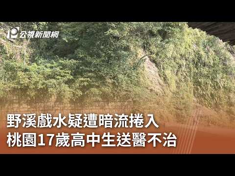 野溪戲水疑遭暗流捲入 桃園17歲高中生送醫不治的圖片影音連結