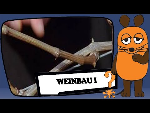 Weinbau - Part1