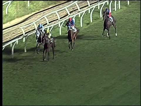 Galoppo 15/07/2015 - 5° corsa