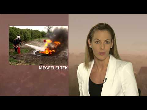 JTV Híradó 2014/16 - 2014.04.20.