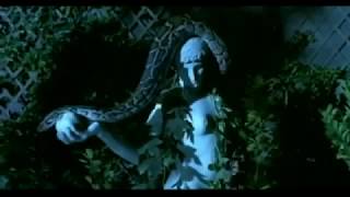 Coil  -- Tenderness of Wolves