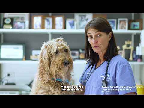 Vet Visit Calming Packs – VVCP for a stress-free visit to the Vet