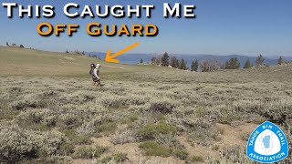 What I Wish I Knew Before Hiking the Tahoe Rim Trail (A Planning Guide)