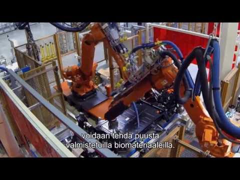 Puun rakenne ja ligniinin mahdollisuudet