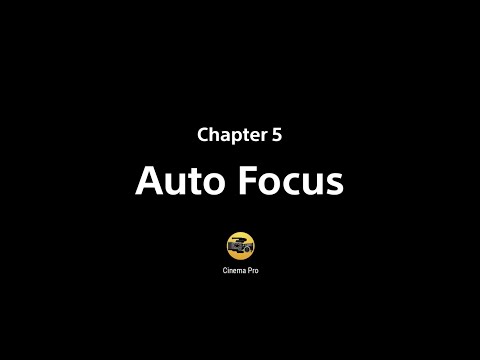 Video preview