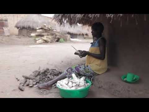 Support 1000 young mothers with beehives in Uganda