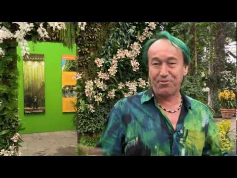 Patrick Blanc's Welcome to The Orchid Show