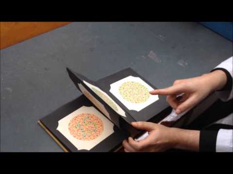 Ishihara Plates Assessment