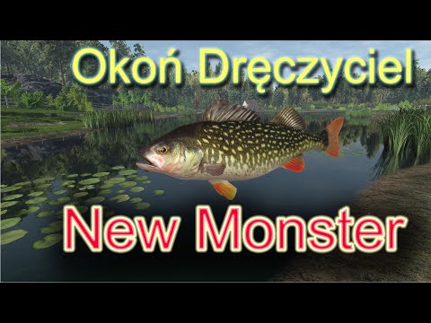 Fishing Planet: Czechy Okoń Dręczyciel *** New Monster Fish Perch Bully Monster Lesni Vila