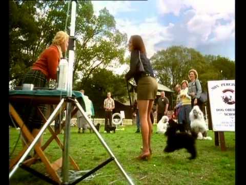 Razzamatazz 'Poodle' TVC - AdNews