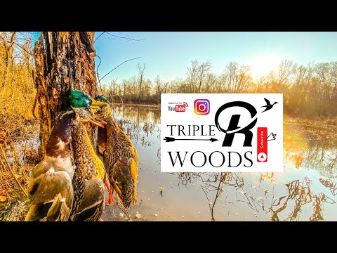 2019 Duck Hunt 14 Triple R Woods-Quick Mallard Limit