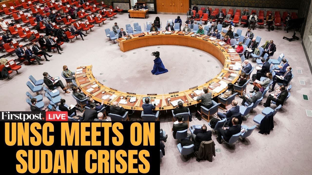 LIVE: UN Security Council Meets on Rights Violations in Sudan Amid Mass Killings Allegations | N18G